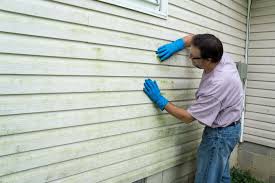 Best Vinyl Siding Installation  in Arbutus, MD